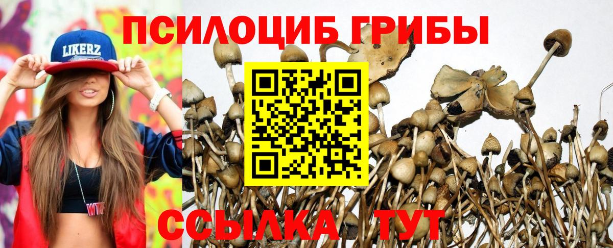 Мелеуз  Галлюциногенные грибы Psilocybine cubensis  Вход с VPN 