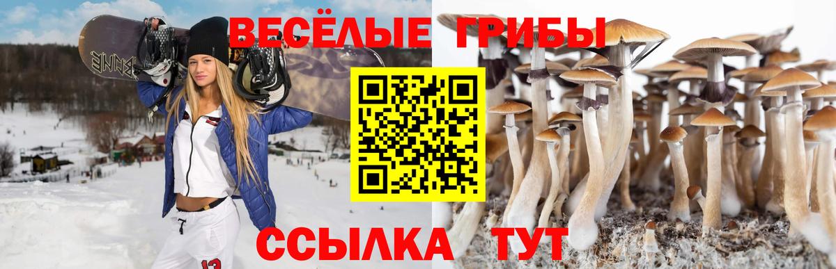 Псилоцибиновые грибы ЛСД Мелеуз